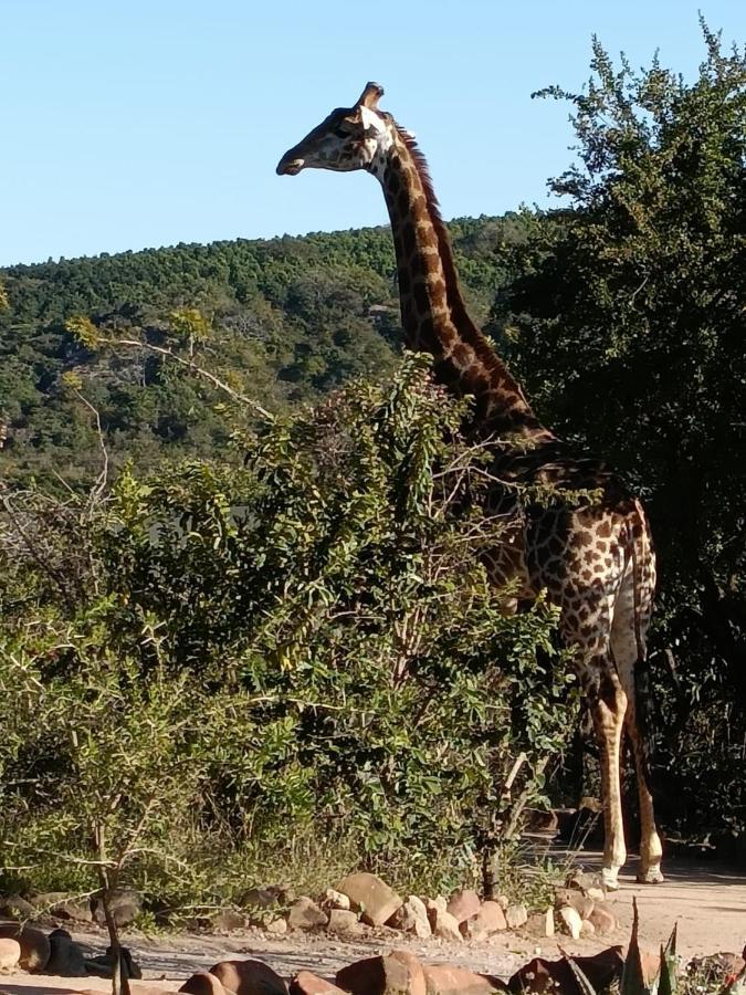 Ndhula Luxury Tented Lodge White River Exterior foto